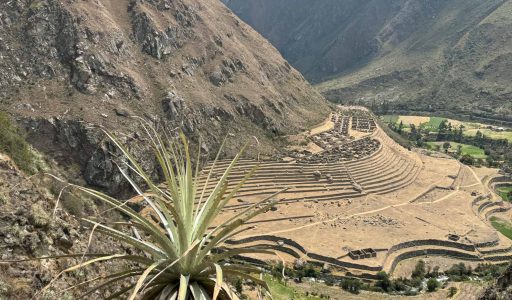 CAMINO INCA 4 DIAS-15