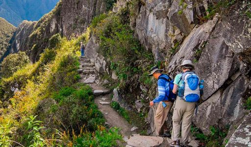 CAMINO-INCA-4D3N2