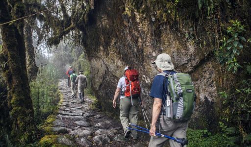 camino-inca-tour-4-dias-1551713870
