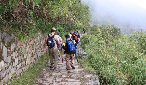 caminodeinca_standard